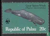 Baleines