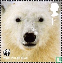 50 ans du WWF 