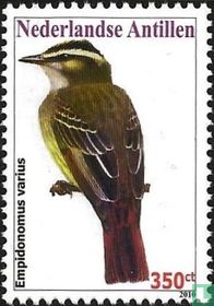 Oiseau  