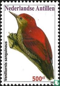 Oiseau  