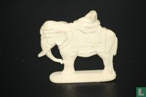 Elephant and guardian