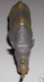 Rhino