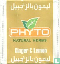 Ginger & Lemon