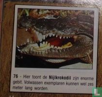 Nijlkrokodil