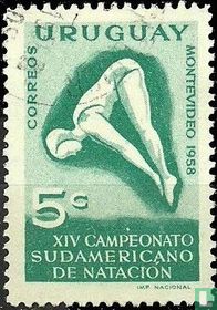 14th South American Swimming Championships