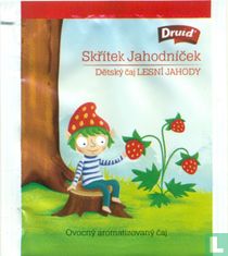 Skritek Jahodnicek