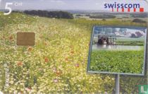 Gesunde Produkte aus naturnaher Landwirtschaft