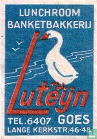 Luteijn