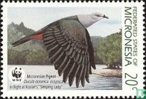 WWF - Birds