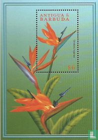 Fleurs des Caraïbes