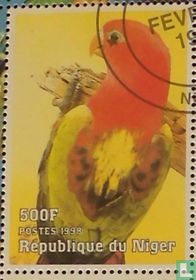 Parrots