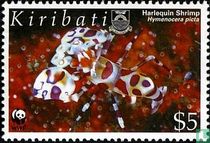 WWF-Harlekin-Garnelen  