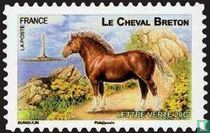 French horses