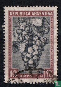 Viticulture