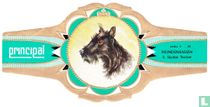 Scotse Terrier