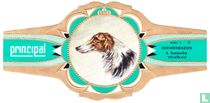 Russische Windhond