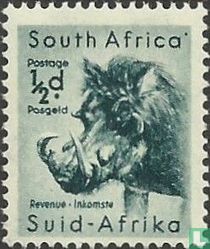 South African Wildlife