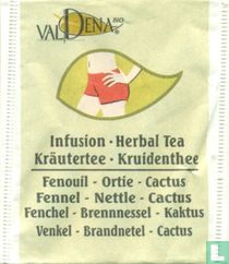Fenouil-Ortie-Cactus 