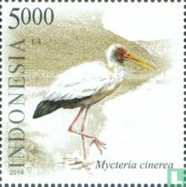 Indonesian seabirds