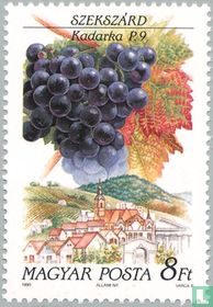 Kadarka Grapes in Szekszárd