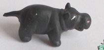 hippopotame