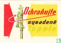 Ochranujte vysadene topole