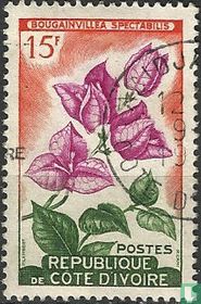 Fleurs
