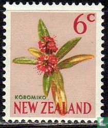 Koromiko for sale