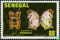 Papillons