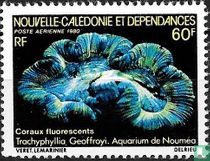 Fluorescent corals
