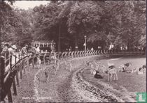 Haarlem - Hertenkamp