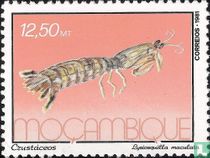 Animaux marins 