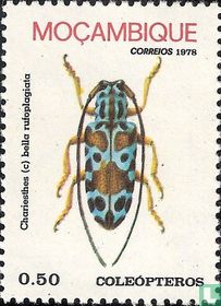 Insecte