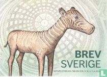 Swedish Museum of natural history 100 years