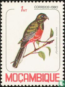 Oiseaux