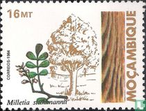 Bäume  