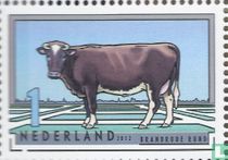 Dutch Cattle Breeds