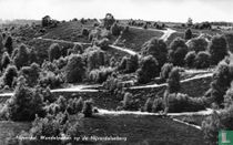 Wandelpaden op de Nijverdalseberg