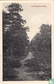 Lochemsche Berg