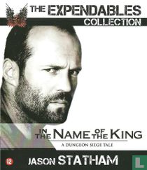 In the Name of the King