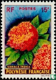 Bloemen