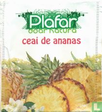 ceai de ananas