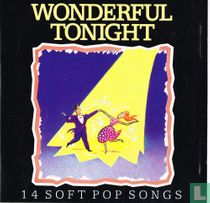 Wonderful Tonight - 14 soft pop songs