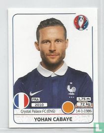 Yohan Cabaye