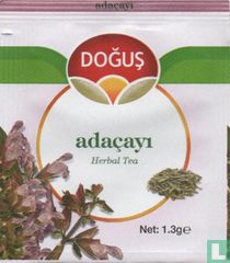 adaçayi    