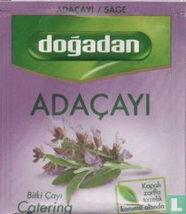 Adaçayi 