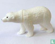Ursus Maritimus