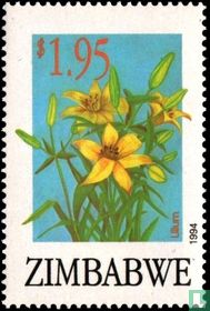 Lily