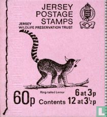 Ring-Tailed Lemur Booklet 