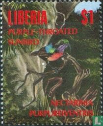 Oiseaux indigènes